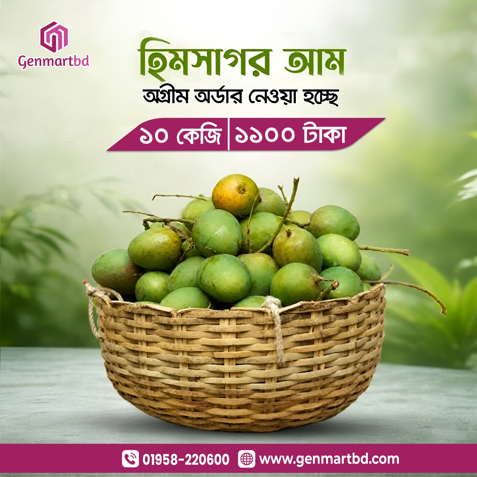 Himsagar Mango-10 kg