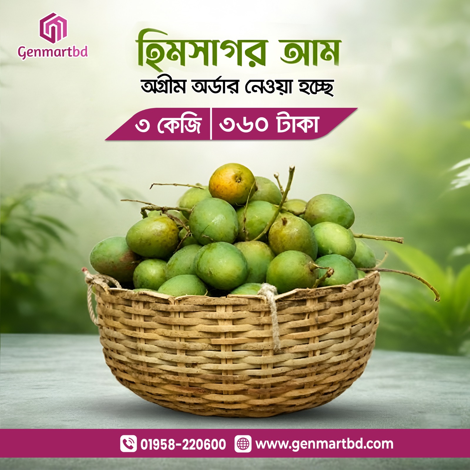 Himsagar Mango-3 kg