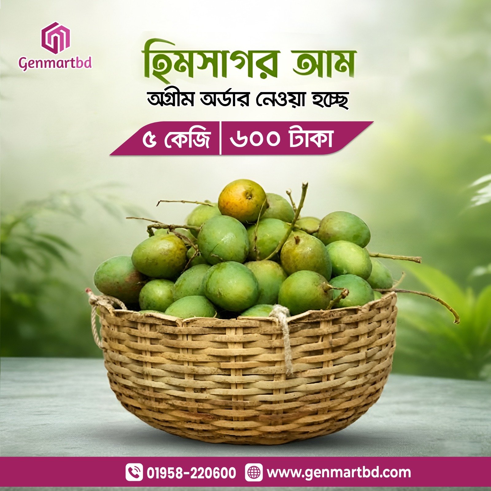 Himsagar Mango-5 kg